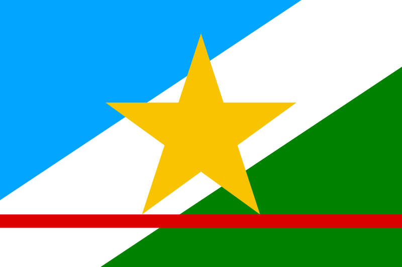 Arquivo:Bandeira de Roraima.png