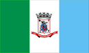 Bandeira de Rio Grande-RS-BRA.png