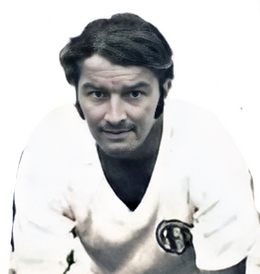 Romualdo Fernando Lima.png