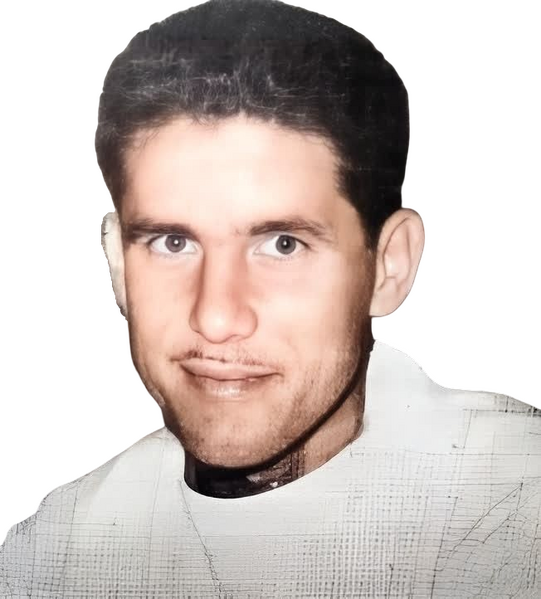 Arquivo:Suli Cabral Machado.png