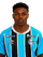 Lian dos Santos da Silva.png
