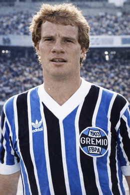 Paulo Afonso Bonamigo.png