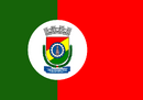 Bandeira de Novo Hamburgo-RS-BRA.png