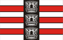 Bandeira de João Pessoa-PB-BRA.png
