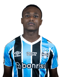 Nathan Ribeiro Fernandes.png