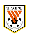 Escudo Shandong Taishan.png