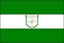 Bandeira do Gama-DF-BRA.jpg