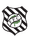 Escudo Figueirense.png