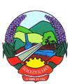 Escudo Seleção de Riozinho.png