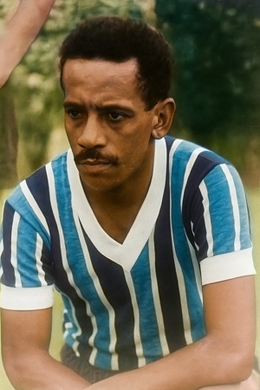 Silvio Gomes Luz.png