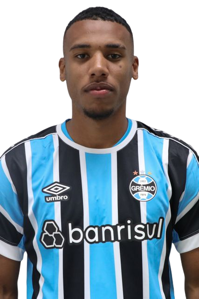 Arquivo:Pedro Henrique Fernandes Clemente.png