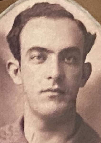 Arquivo:Alcides Meneghini.png