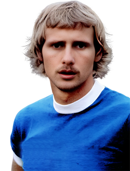 Ivo Ardais Wortmann.png