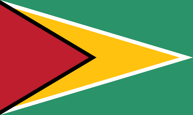 Arquivo:Bandeira da Guiana.png